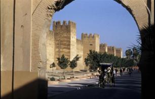 Excursion privée à Taroudant – Une demi-journée au départ d’Agadir